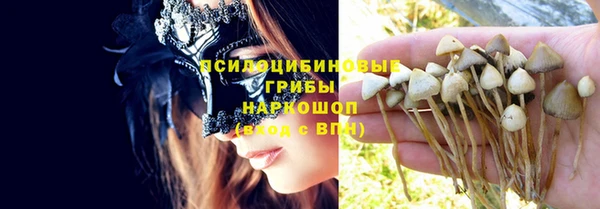 PSILOCYBIN Аркадак