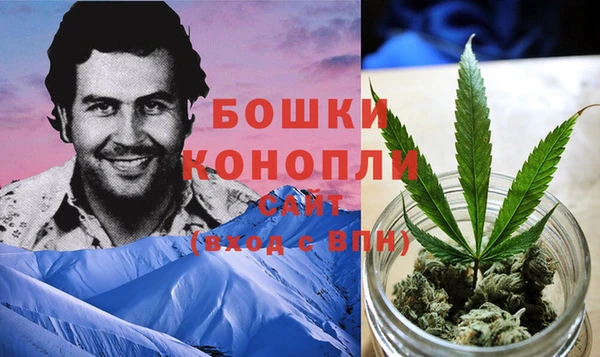 PSILOCYBIN Аркадак