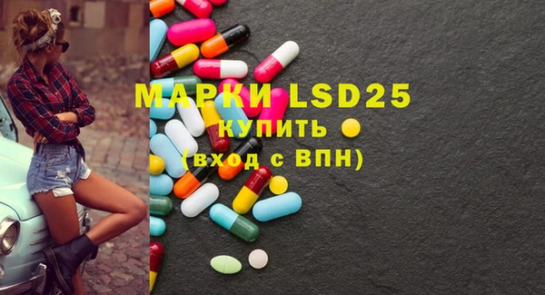 PSILOCYBIN Аркадак