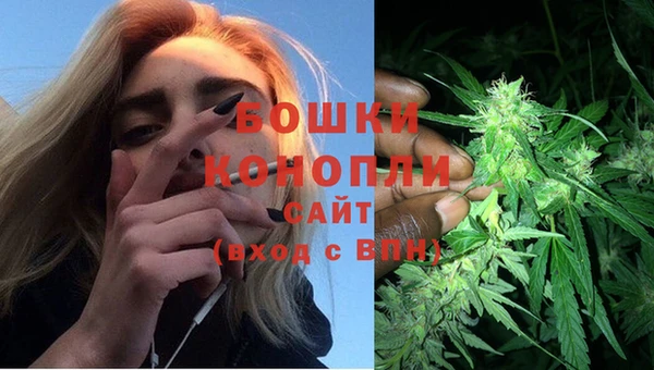 PSILOCYBIN Аркадак