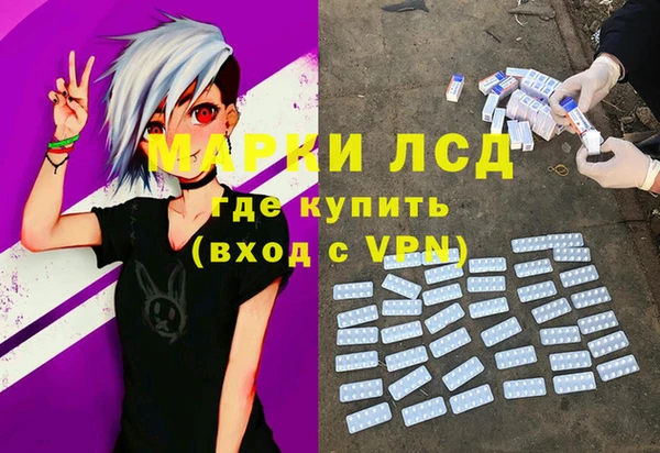 PSILOCYBIN Аркадак