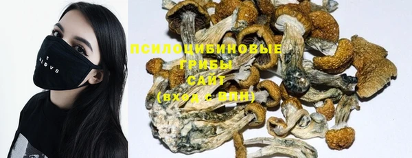 синтетический гашиш Арсеньев