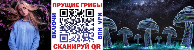мега ТОР  darknet состав  Псилоцибиновые грибы Magic Shrooms  Татарск 